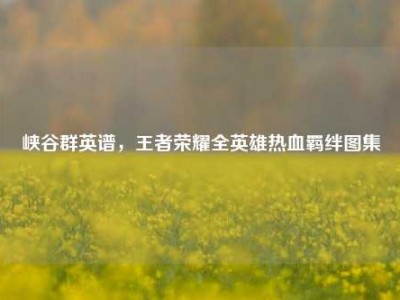 峡谷群英谱，王者荣耀全英雄热血羁绊图集