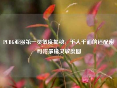 PUBG亚服第一灵敏度揭秘，千人千面的适配密码附最稳灵敏度图