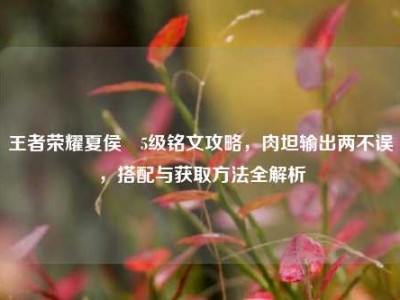 王者荣耀夏侯惇5级铭文攻略，肉坦输出两不误，搭配与获取方法全解析