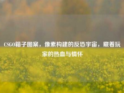 CSGO箱子图案，像素构建的反恐宇宙，藏着玩家的热血与情怀