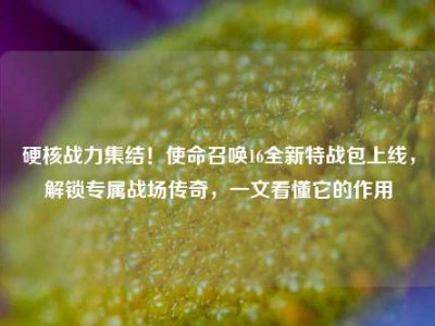 硬核战力集结！使命召唤16全新特战包上线，解锁专属战场传奇，一文看懂它的作用