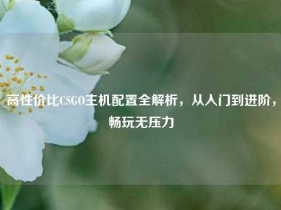 高性价比CSGO主机配置全解析，从入门到进阶，畅玩无压力