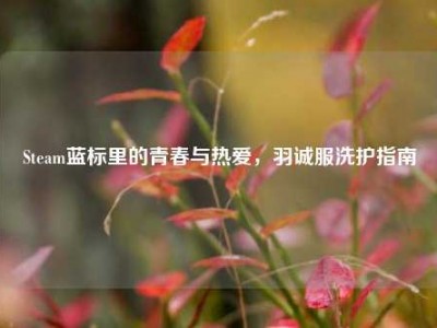 Steam蓝标里的青春与热爱，羽诚服洗护指南