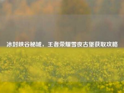冰封峡谷秘域，王者荣耀雪夜古堡获取攻略
