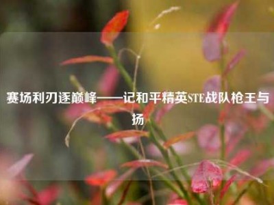 赛场利刃逐巅峰——记和平精英STE战队枪王与扬