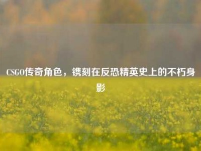 CSGO传奇角色，镌刻在反恐精英史上的不朽身影