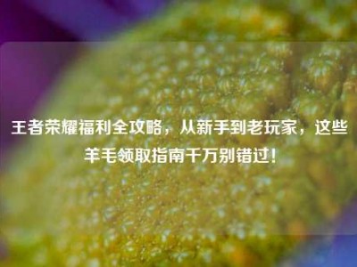 王者荣耀福利全攻略，从新手到老玩家，这些羊毛领取指南千万别错过！
