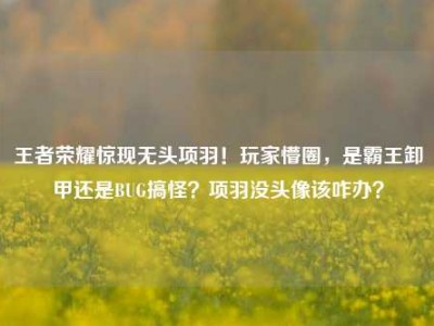 王者荣耀惊现无头项羽！玩家懵圈，是霸王卸甲还是BUG搞怪？项羽没头像该咋办？