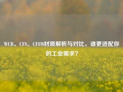 WCB、CF8、CF8M材质解析与对比，谁更适配你的工业需求？