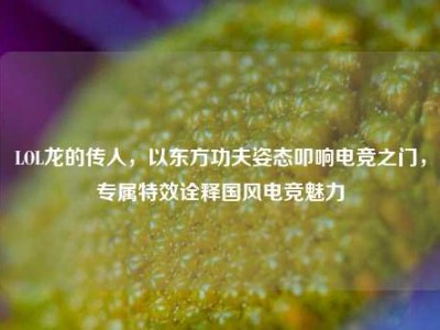 LOL龙的传人，以东方功夫姿态叩响电竞之门，专属特效诠释国风电竞魅力
