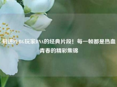 刻进PUBG玩家DNA的经典片段！每一帧都是热血青春的精彩集锦