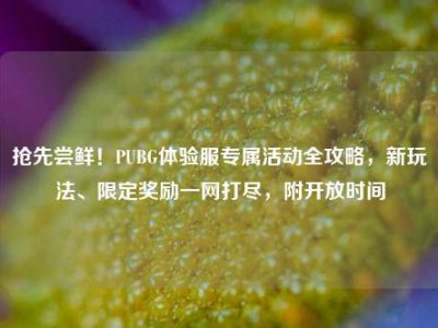 抢先尝鲜！PUBG体验服专属活动全攻略，新玩法、限定奖励一网打尽，附开放时间