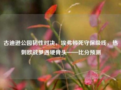 古迪逊公园韧性对决，埃弗顿死守保级线，热刺欧战梦遇硬骨头——比分预测