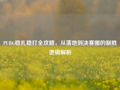 PUBG稳扎稳打全攻略，从落地到决赛圈的制胜逻辑解析