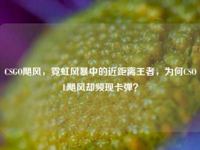 CSGO飓风，霓虹风暴中的近距离王者，为何CSOL飓风却频现卡弹？
