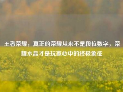 王者荣耀，真正的荣耀从来不是段位数字，荣耀水晶才是玩家心中的终极象征