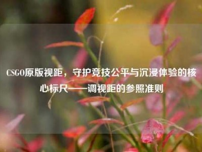 CSGO原版视距，守护竞技公平与沉浸体验的核心标尺——调视距的参照准则
