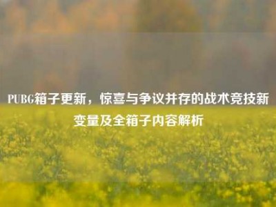 PUBG箱子更新，惊喜与争议并存的战术竞技新变量及全箱子内容解析