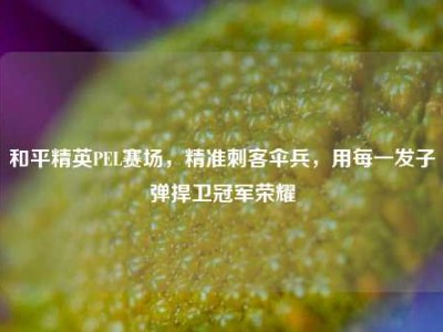 和平精英PEL赛场，精准刺客伞兵，用每一发子弹捍卫冠军荣耀