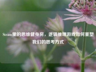 Steam里的思维健身房，逻辑推理游戏如何重塑我们的思考方式