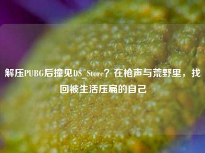 解压PUBG后撞见DS_Store？在枪声与荒野里，找回被生活压扁的自己