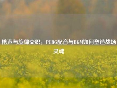 枪声与旋律交织，PUBG配音与BGM如何塑造战场灵魂