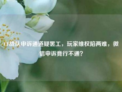 CF战队申诉通道疑罢工，玩家维权陷两难，微信申诉竟行不通？