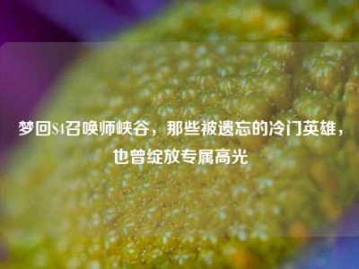 梦回S4召唤师峡谷，那些被遗忘的冷门英雄，也曾绽放专属高光