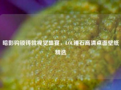 暗影钩锁铸就视觉盛宴，LOL锤石高清桌面壁纸精选