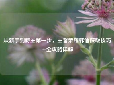 从新手到野王第一步，王者荣耀韩信获取技巧+全攻略详解
