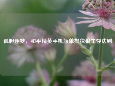 孤胆逐梦，和平精英手机版单排独狼生存法则