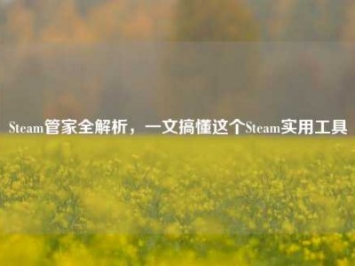 Steam管家全解析，一文搞懂这个Steam实用工具