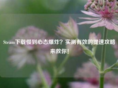 Steam下载慢到心态爆炸？实测有效的提速攻略来救你！