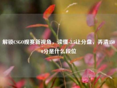 解锁CSGO观赛新视角，读懂-3.5让分盘，弄清3500分是什么段位