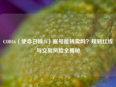 COD16（使命召唤16）账号能转卖吗？规则红线与交易风险全揭秘