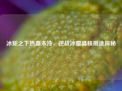冰矩之下热血未冷，逆战冰雷晶核用途探秘