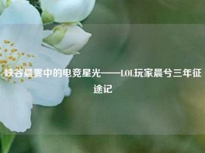 峡谷晨雾中的电竞星光——LOL玩家晨兮三年征途记