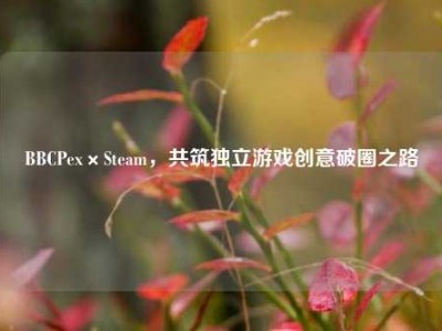 BBCPex×Steam，共筑独立游戏创意破圈之路