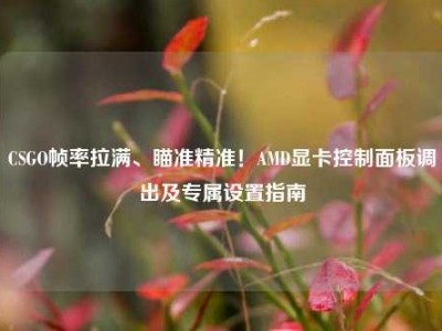 CSGO帧率拉满、瞄准精准！AMD显卡控制面板调出及专属设置指南