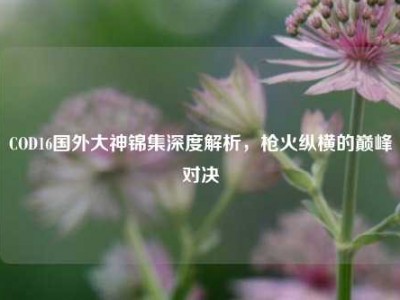 COD16国外大神锦集深度解析，枪火纵横的巅峰对决