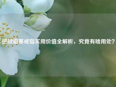 逆战霜寒戒指实用价值全解析，究竟有啥用处？