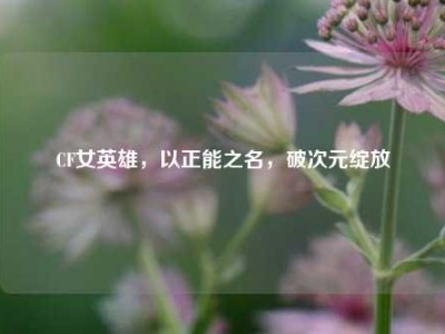 CF女英雄，以正能之名，破次元绽放