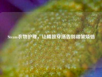 Steam衣物护理，让精致穿搭告别褶皱烦恼