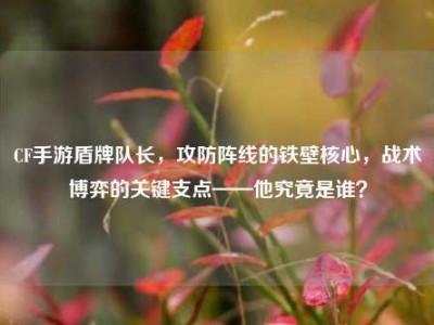 CF手游盾牌队长，攻防阵线的铁壁核心，战术博弈的关键支点——他究竟是谁？