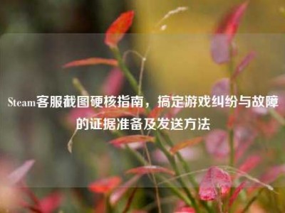 Steam客服截图硬核指南，搞定游戏纠纷与故障的证据准备及发送方法