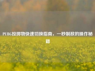 PUBG投掷物快速切换指南，一秒制敌的操作秘籍