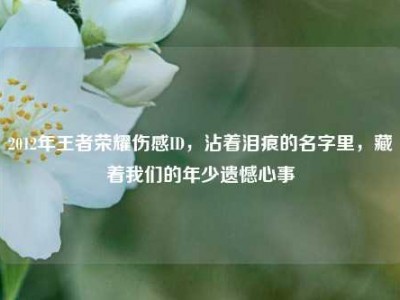 2012年王者荣耀伤感ID，沾着泪痕的名字里，藏着我们的年少遗憾心事