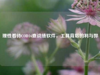 理性看待COD16查战绩软件，工具背后的利与弊
