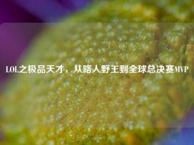 LOL之极品天才，从路人野王到全球总决赛MVP