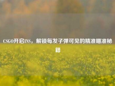 CSGO开启INS，解锁每发子弹可见的精准瞄准秘籍